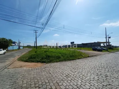 Lote/Terreno para alugar, 3200m² no Parque da Fonte, São José dos Pinhais