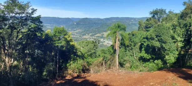 Lote/Terreno à venda, 20000m² no , Picada Café