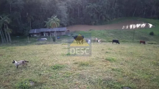 Fazenda/Sítio com 4 Quartos à venda, 365m² no Ponto Chic, Ibirama