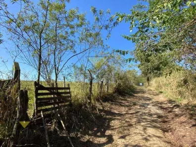 Galpão/Depósito/Armazém à venda, 121000m² no Taboão, Mogi das Cruzes