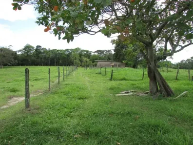 Fazenda/Sítio à venda, 87900m² no Maraporã, Cachoeiras de Macacu