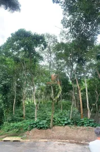 Lote/Terreno à venda, 900m² no Arujázinho I, II e III, Arujá