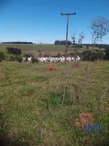 Fazenda/Sítio com 1 Quarto à venda, 1016400m² no Área Rural de Avaré, Avaré