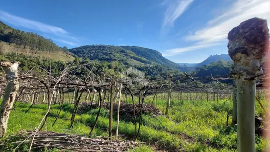 Fazenda/Sítio à venda, 25000m² no , Santa Tereza