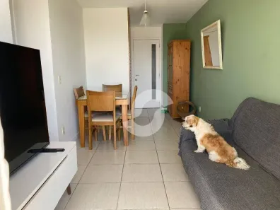 Apartamento com 3 Quartos à venda, 80m² no Maria Paula, São Gonçalo