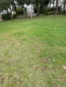 Lote/Terreno à venda, 360m² no Residencial Morada dos Pássaros-Aldeia da Serra, Barueri