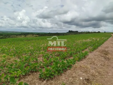 Fazenda/Sítio à venda, 500m² no , Orizona