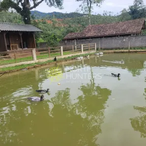 Fazenda/Sítio com 3 Quartos à venda, 250m² no , Garuva