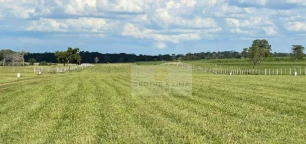 Fazenda/Sítio com 8 Quartos à venda, 2200m² no , Alcinópolis