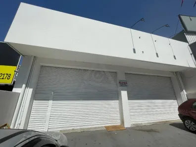 Casa com 3 Quartos para alugar, 215m² no Vila Itapura, Campinas