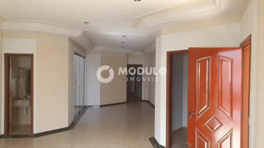 Casa com 3 Quartos à venda, 246m² no Vigilato Pereira, Uberlândia