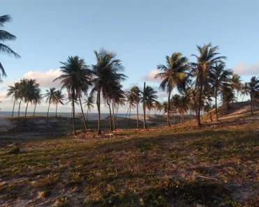Lote/Terreno à venda, 398892m² no Jandaíra, Jandaíra