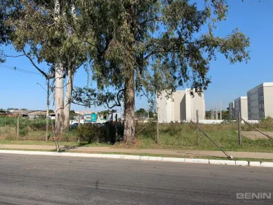 Lote/Terreno para alugar, 900m² no Estância Velha, Canoas
