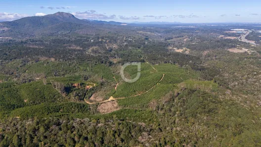 Fazenda/Sítio à venda, 3571400m² no Quatro Barras, Quatro Barras