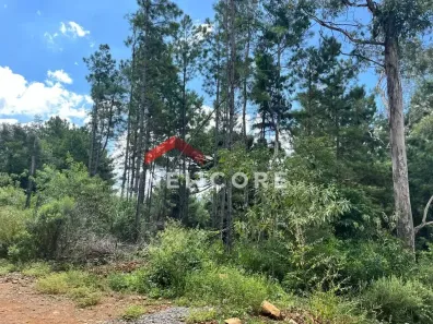 Lote/Terreno à venda, 480m² no Centro, São Francisco de Paula