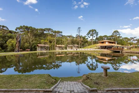 Fazenda/Sítio à venda, 26000m² no Centro, Campina Grande do Sul