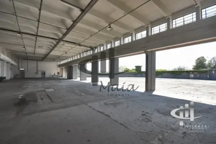 Galpão/Depósito/Armazém para alugar, 3700m² no Jaguaré, São Paulo