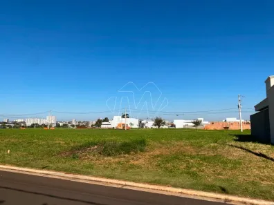Lote/Terreno à venda, 275m² no Residencial Village Damha, Araraquara
