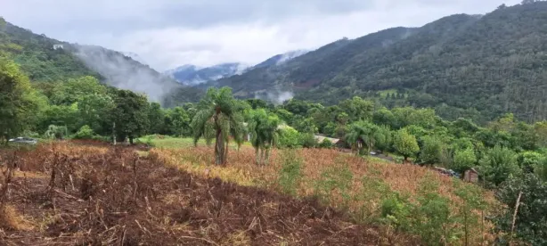 Fazenda/Sítio com 1 Quarto à venda, 30000m² no Linha Ávila, Gramado