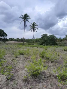 Fazenda/Sítio com 3 Quartos à venda, 1500000m² no Guajiru, São Gonçalo do Amarante