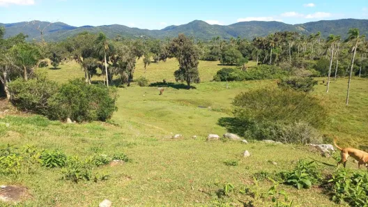 Lote/Terreno à venda, 125000m² no Ratones, Florianópolis