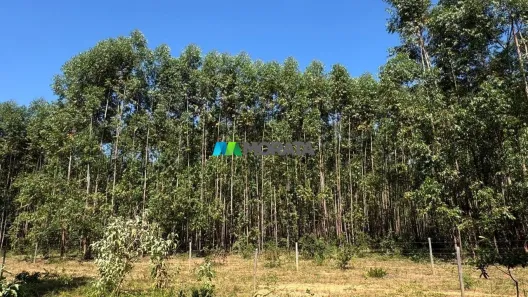 Fazenda/Sítio com 1 Quarto à venda, 373m² no Santa Rita, Curvelo