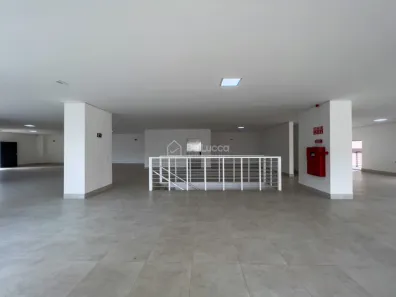 Galpão/Depósito/Armazém para alugar, 1718m² no Botafogo, Campinas