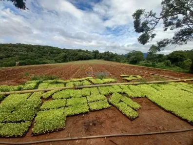 Lote/Terreno à venda, 60000m² no Antônio dos Santos, Caeté