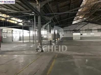 Galpão/Depósito/Armazém à venda, 3841m² no Vila Socorro, São Paulo