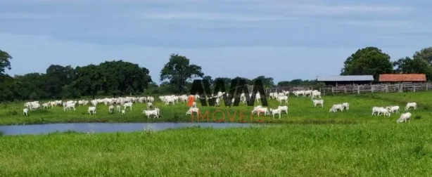 Fazenda/Sítio à venda, 16900000m² no , Miranda
