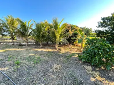 Fazenda/Sítio com 2 Quartos à venda, 140m² no , Álvares Machado
