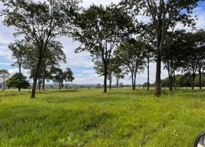 Fazenda/Sítio à venda no , Cassilândia