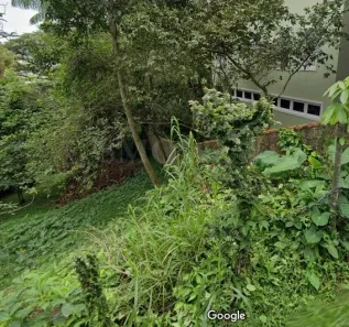 Lote/Terreno com 1 Quarto à venda, 364m² no Córrego Grande, Florianópolis