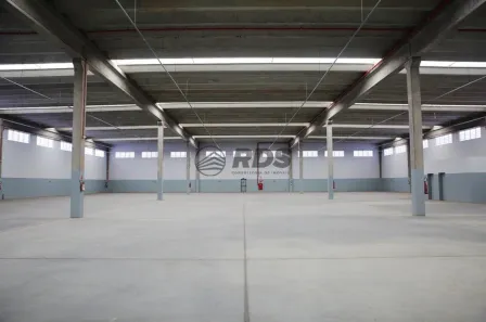 Galpão/Depósito/Armazém para alugar, 3703m² no Parque São Lourenço, São Paulo