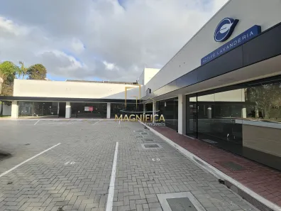 Ponto Comercial com 1 Quarto para alugar, 164m² no Santo Inácio, Curitiba