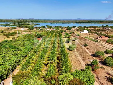 Fazenda/Sítio à venda, 84000m² no Pedrinhas, Petrolina