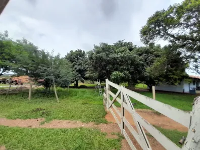 Fazenda/Sítio com 3 Quartos à venda, 42m² no , Davinópolis