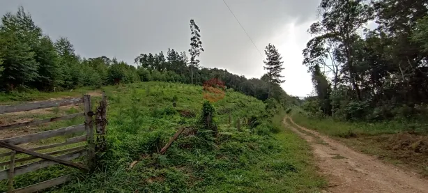 Lote/Terreno à venda, 131268m² no Bateias, Campo Largo