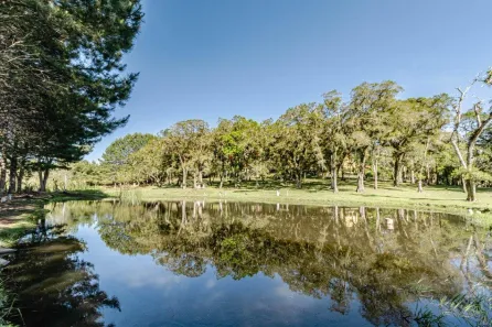 Fazenda/Sítio com 5 Quartos à venda, 37871m² no Ambrósios, Tijucas do Sul