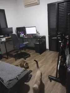 Sobrado com 3 Quartos à venda, 100m² no Vila Mariana, São Paulo