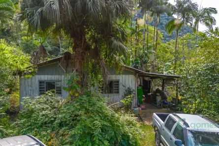 Fazenda/Sítio com 3 Quartos à venda, 633402m² no Centro, Morretes