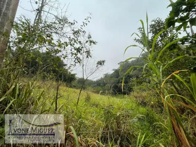 Lote/Terreno à venda, 30119m² no Cinco Lagos, Mendes