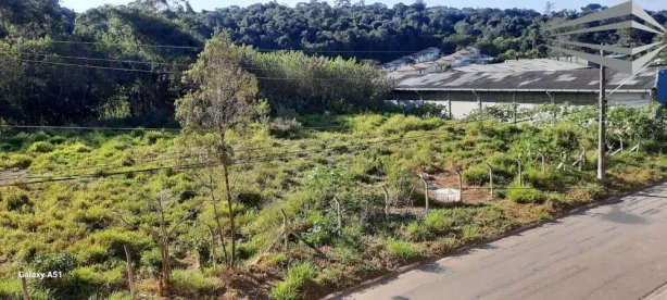 Lote/Terreno à venda, 3200m² no Parque Rincão, Cotia