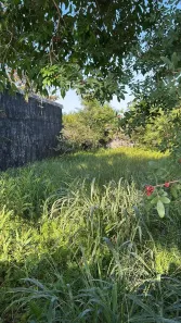 Lote/Terreno à venda, 280m² no Jardim Casablanca, Peruíbe