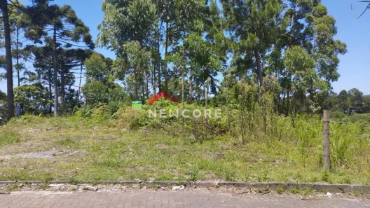 Lote/Terreno à venda, 360m² no Centro, São Francisco de Paula