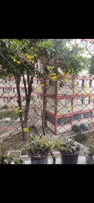 Apartamento com 3 Quartos à venda, 86m² no Vila Constança, São Paulo