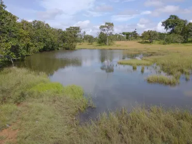 Fazenda/Sítio com 1 Quarto à venda, 3200m² no , Itapecuru Mirim