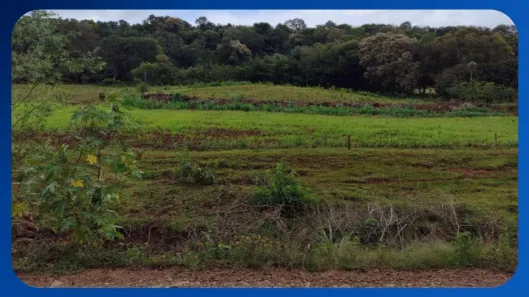 Fazenda/Sítio com 1 Quarto à venda, 29000m² no , Santa Izabel do Oeste