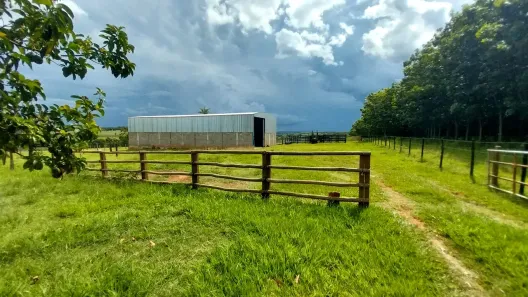 Fazenda/Sítio com 2 Quartos à venda, 121000m² no Centro, Mirassolândia