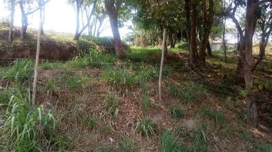Lote/Terreno à venda, 1000m² no Real Parque Dom Pedro I, Itatiba